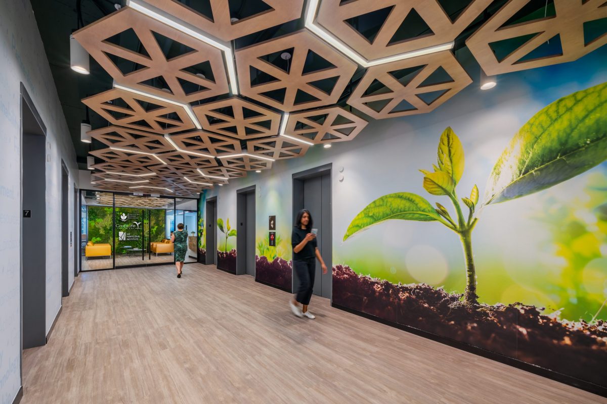 sshape's workplace design for Growing Results